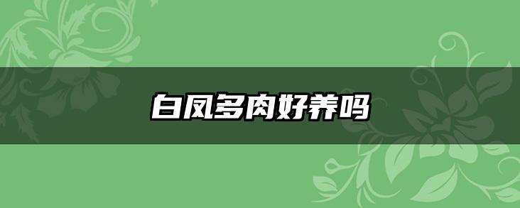 白凤多肉好养吗