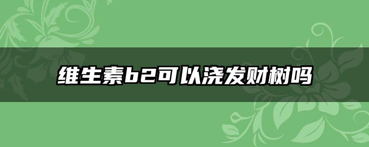 维生素b2可以浇发财树吗
