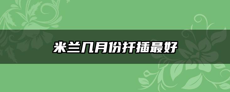 米兰几月份扦插最好