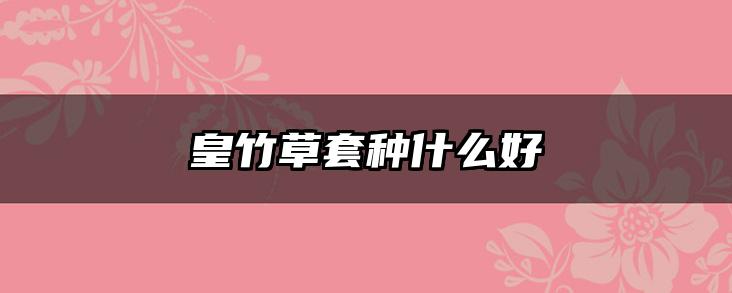 皇竹草套种什么好