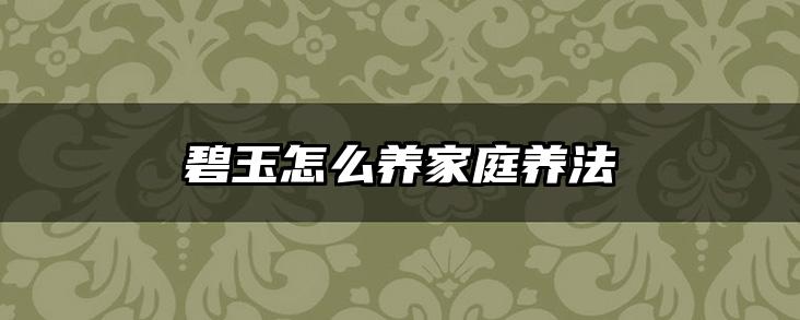 碧玉怎么养家庭养法