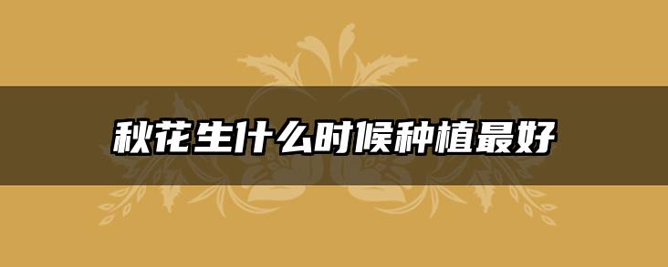 秋花生什么时候种植最好