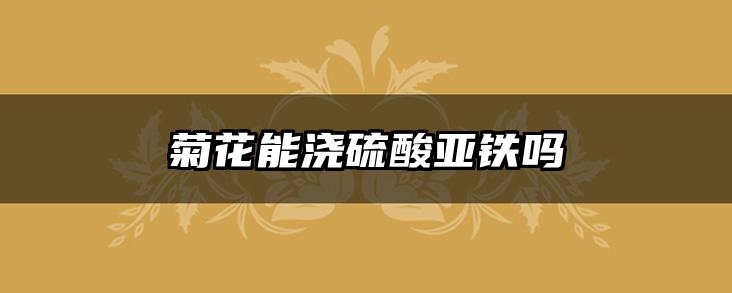 菊花能浇硫酸亚铁吗