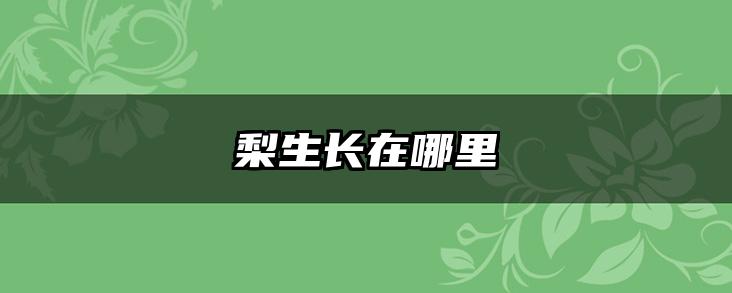 梨生长在哪里
