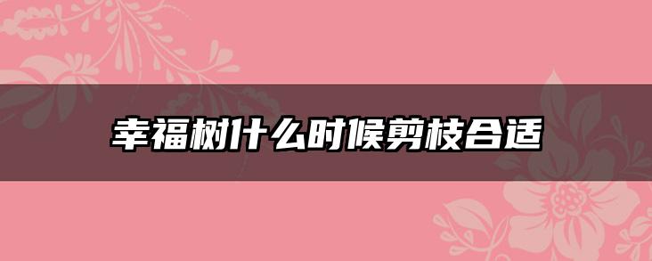 幸福树什么时候剪枝合适