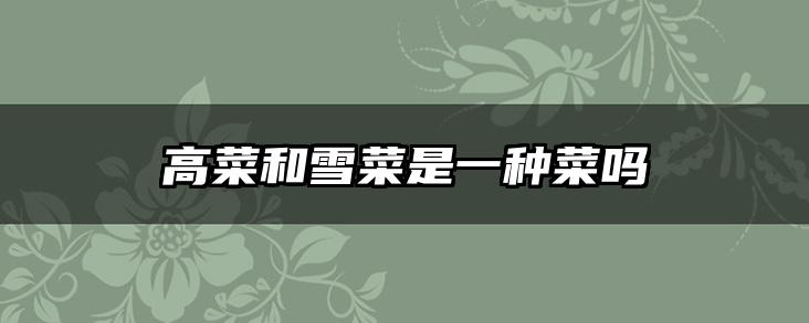 高菜和雪菜是一种菜吗