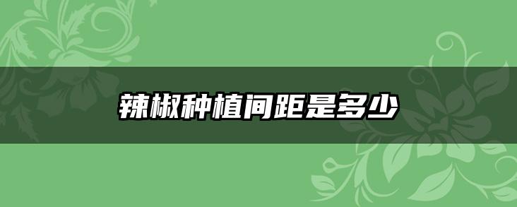 辣椒种植间距是多少