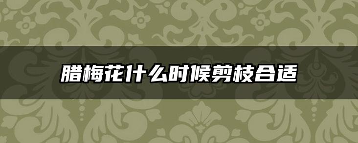 腊梅花什么时候剪枝合适