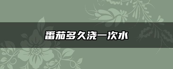 番茄多久浇一次水