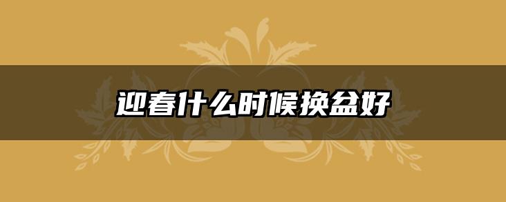 迎春什么时候换盆好