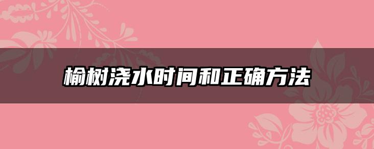 榆树浇水时间和正确方法