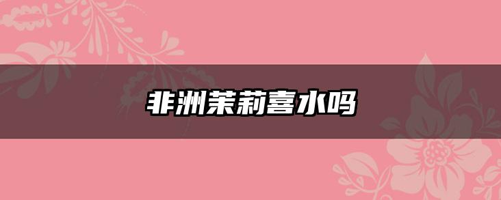 非洲茉莉喜水吗