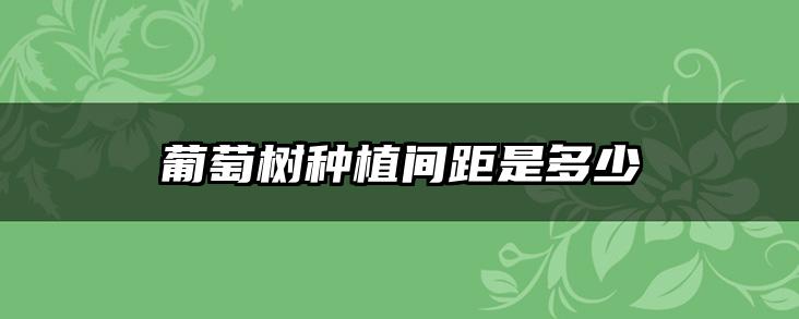 葡萄树种植间距是多少