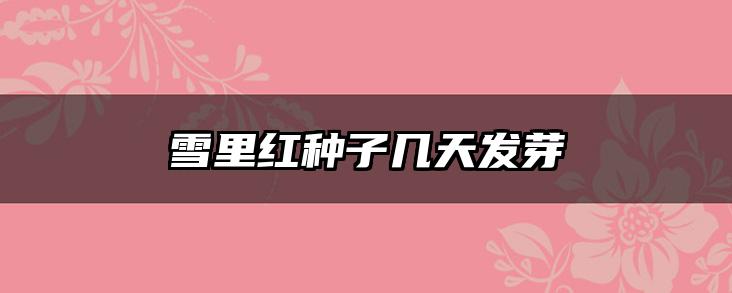 雪里红种子几天发芽