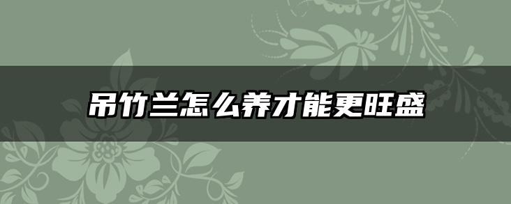吊竹兰怎么养才能更旺盛