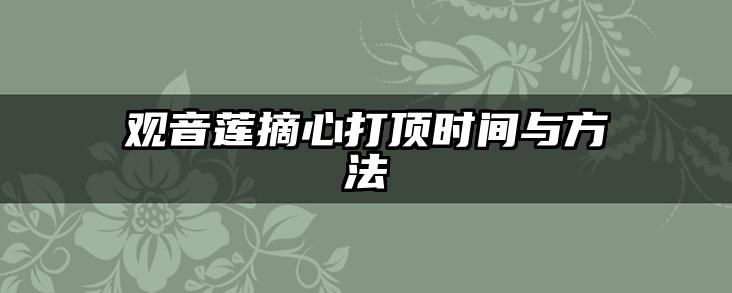 观音莲摘心打顶时间与方法