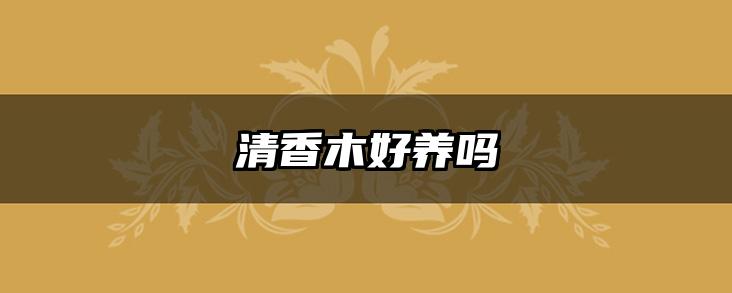 清香木好养吗