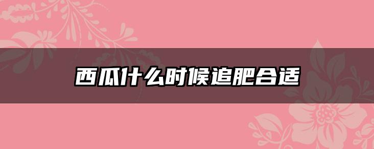 西瓜什么时候追肥合适
