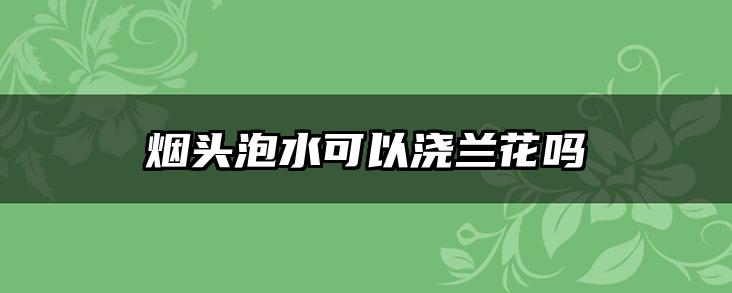 烟头泡水可以浇兰花吗