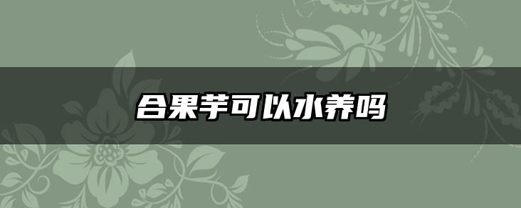 合果芋可以水养吗