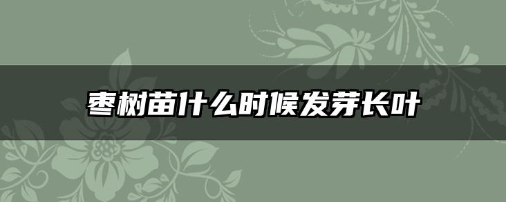 枣树苗什么时候发芽长叶