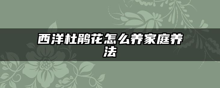 西洋杜鹃花怎么养家庭养法
