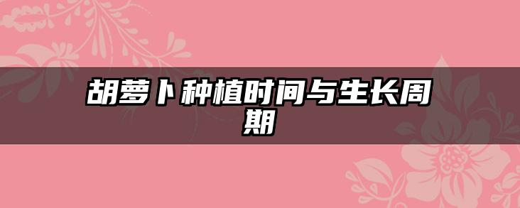胡萝卜种植时间与生长周期