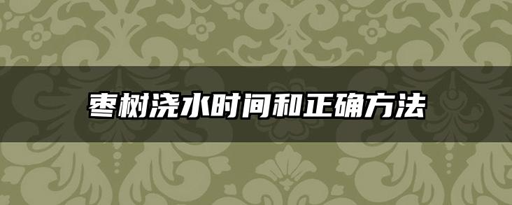 枣树浇水时间和正确方法