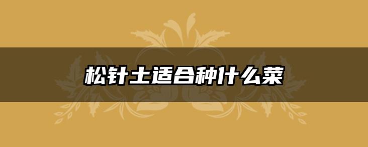 松针土适合种什么菜