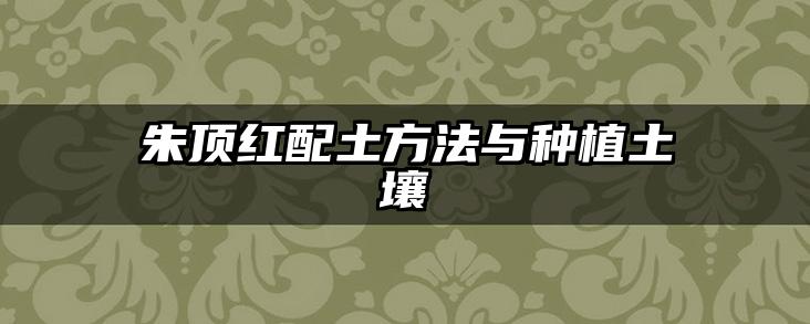 朱顶红配土方法与种植土壤