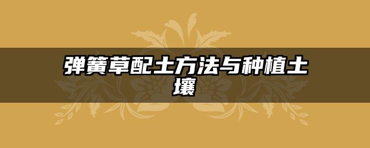 弹簧草配土方法与种植土壤