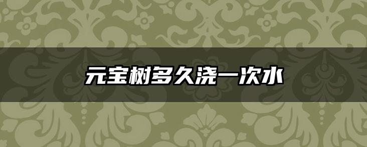 元宝树多久浇一次水