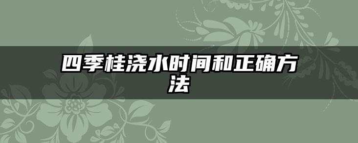 四季桂浇水时间和正确方法