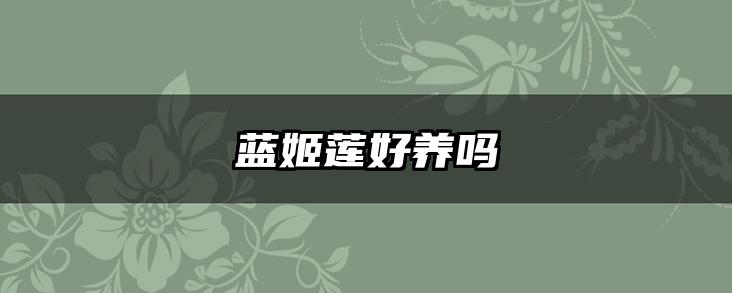 蓝姬莲好养吗