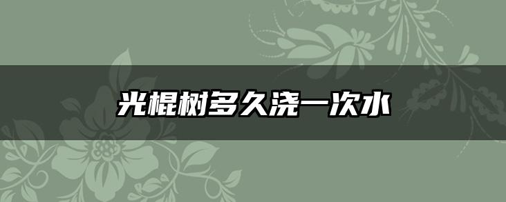 光棍树多久浇一次水
