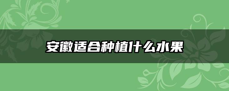 安徽适合种植什么水果