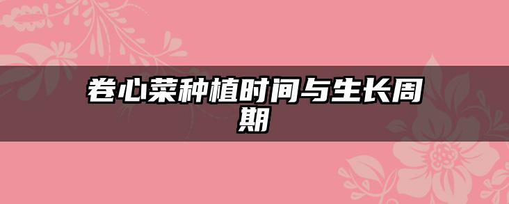 卷心菜种植时间与生长周期