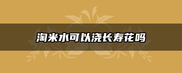 淘米水可以浇长寿花吗