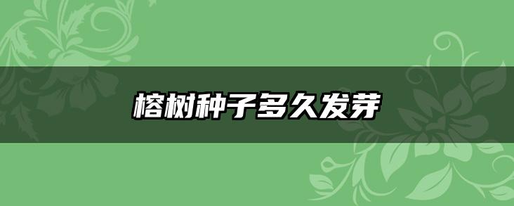 榕树种子多久发芽