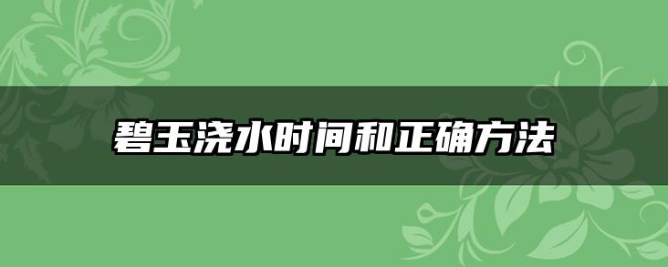 碧玉浇水时间和正确方法