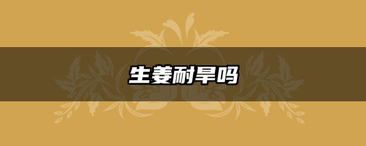 生姜耐旱吗