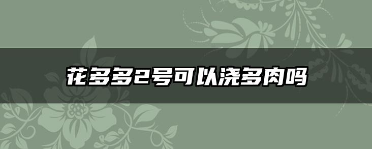花多多2号可以浇多肉吗