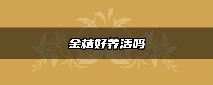 金桔好养活吗