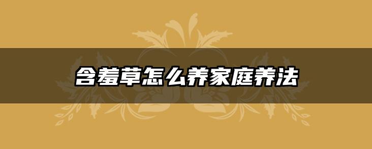 含羞草怎么养家庭养法