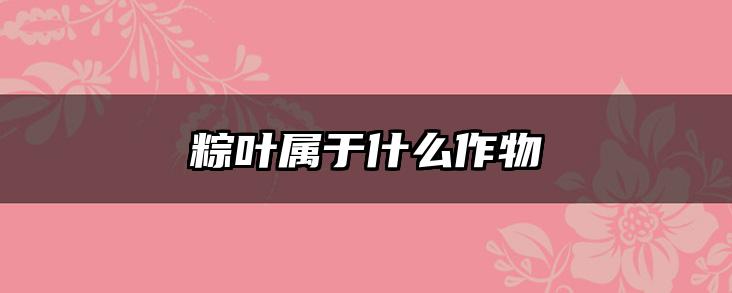 粽叶属于什么作物