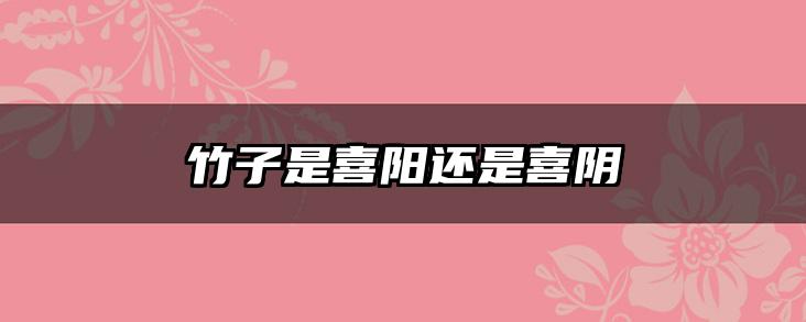 竹子是喜阳还是喜阴