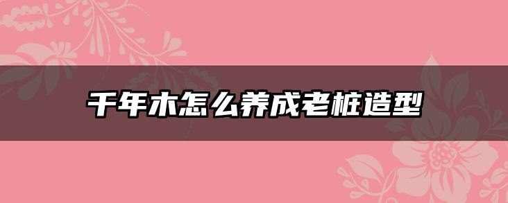 千年木怎么养成老桩造型