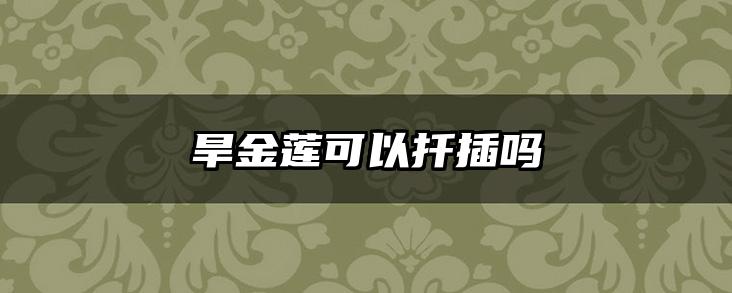 旱金莲可以扦插吗