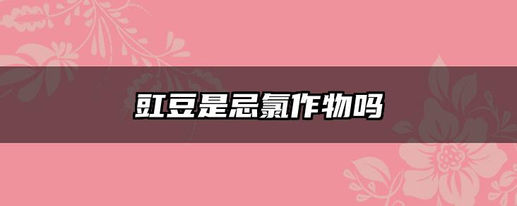 豇豆是忌氯作物吗