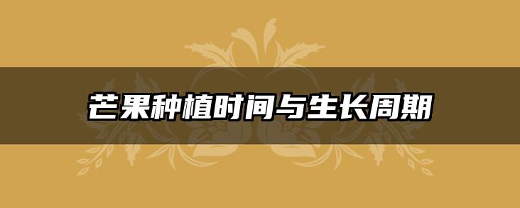 芒果种植时间与生长周期